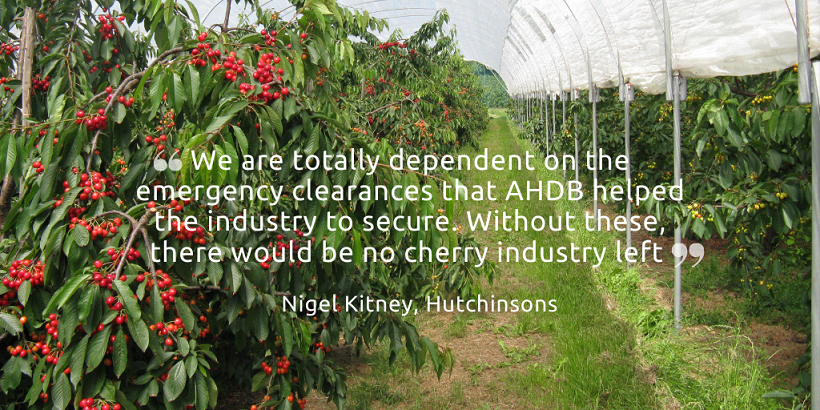 We are totally dependent on the. emergency clearances that AHDB helped.